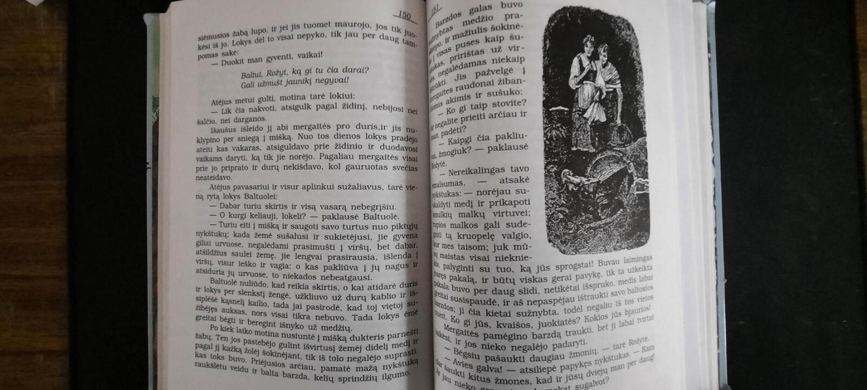 Gražiausios Brolių Grimų pasakos - Autorių Kolektyvas, knyga 5