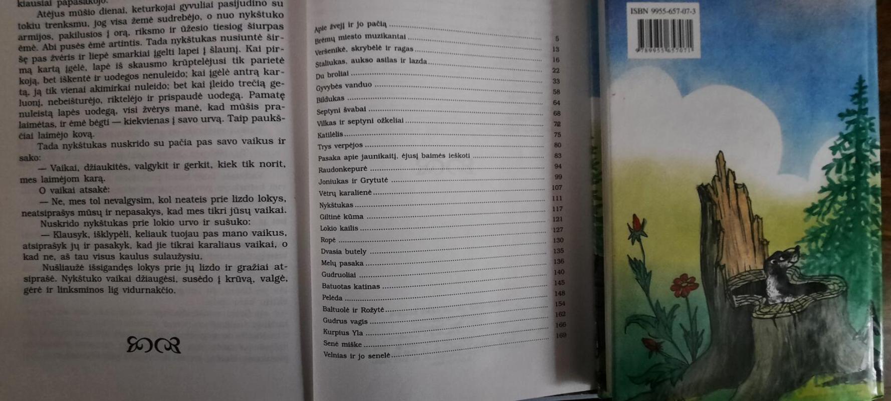 Gražiausios Brolių Grimų pasakos - Autorių Kolektyvas, knyga 4