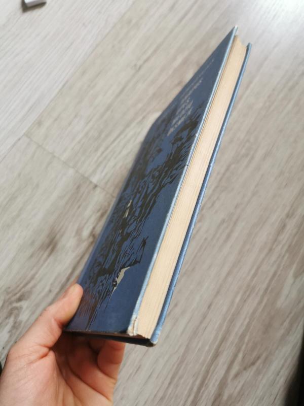 Anapus upės medžių ūksmėje - Ernestas Hemingvėjus, knyga 2