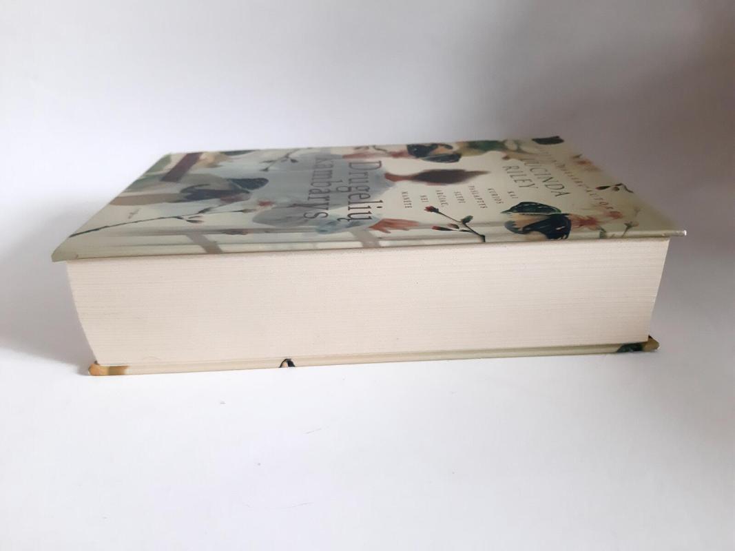 Drugelių kambarys - LUCINDA RILEY, knyga 4