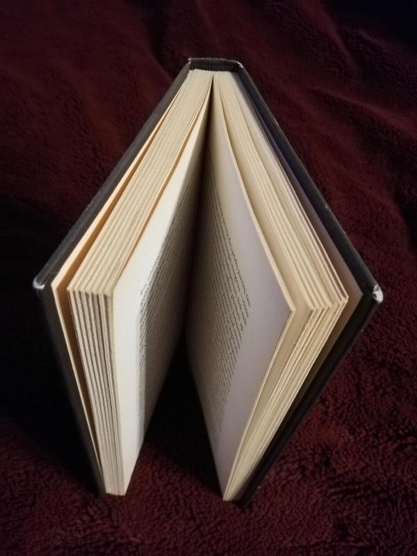 Orfėjas, kelionė pirmyn ir atgal - Tomas Vaiseta, knyga 3