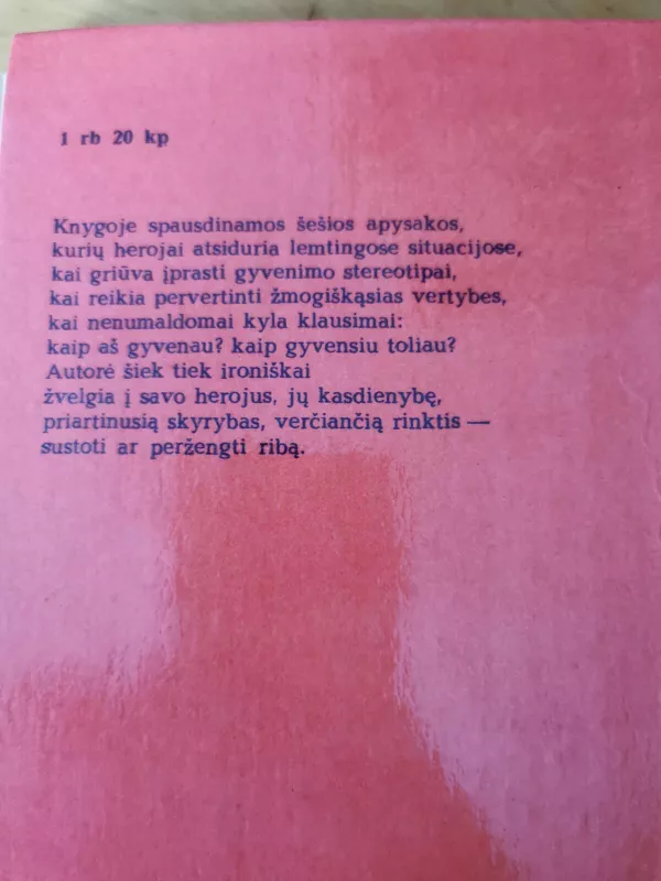 Žvaigždė migloje - Viktorija Tokareva, knyga