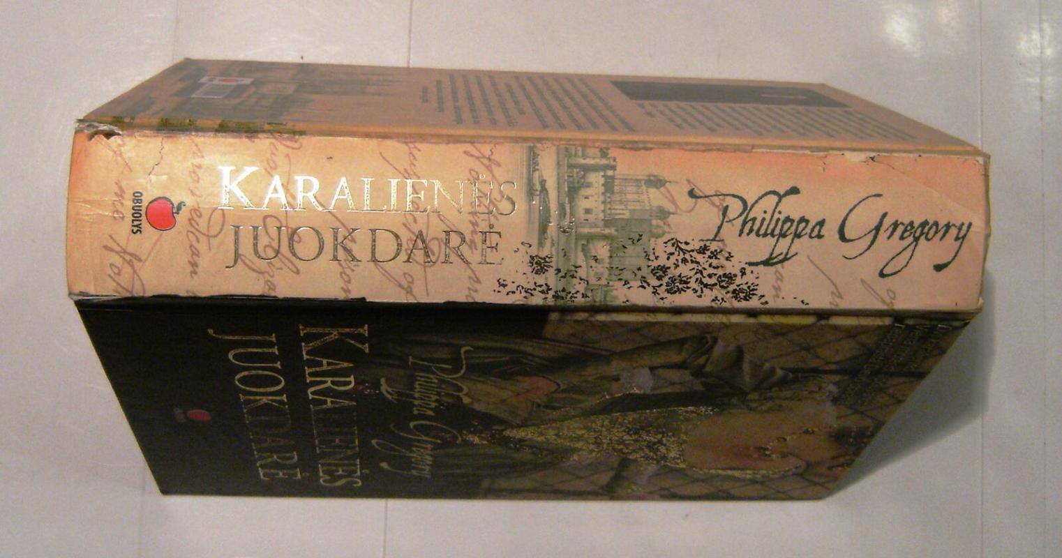 Karalienės juokdarė - Philippa Gregory, knyga 6