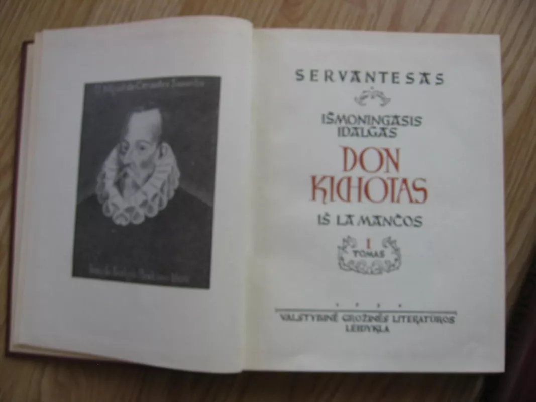 Išmoningasis Idalgas Don Kichotas iš La Mančios (2 tomai) - Migelis Servantesas, knyga 6