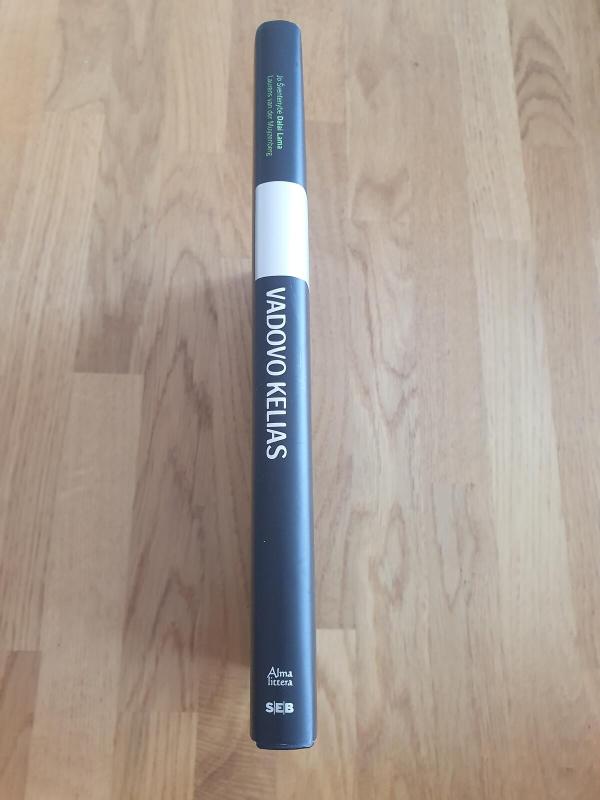 Vadovo kelias - Laurens van der Muyzenberg, knyga 4