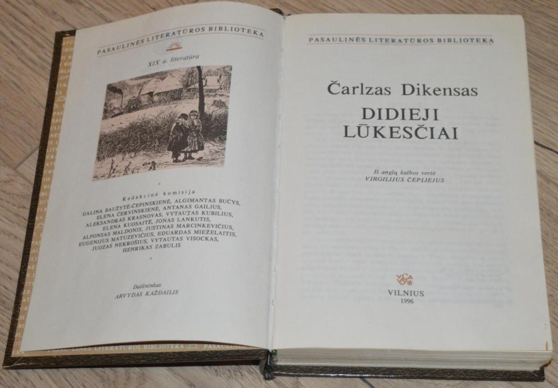 Didieji lūkesčiai - Dikensas Čarlzas, knyga 3