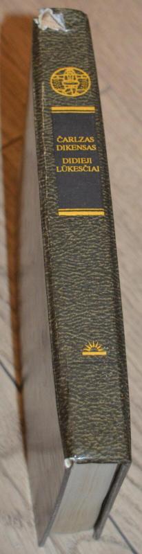 Didieji lūkesčiai - Dikensas Čarlzas, knyga 2