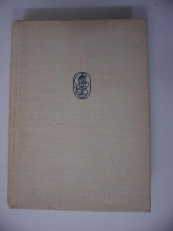 Ilgesys-ta giesmė - Paulius Širvys, knyga 2