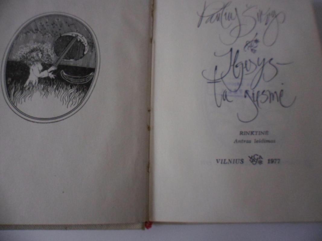 Ilgesys-ta giesmė - Paulius Širvys, knyga 3