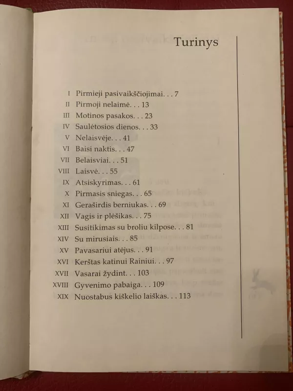 Kiškelio užrašai - Vytautas Tamulaitis, knyga