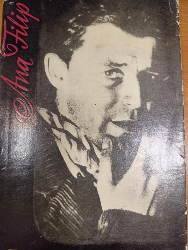 Tiktai akimirka - Ana Filip, knyga 2