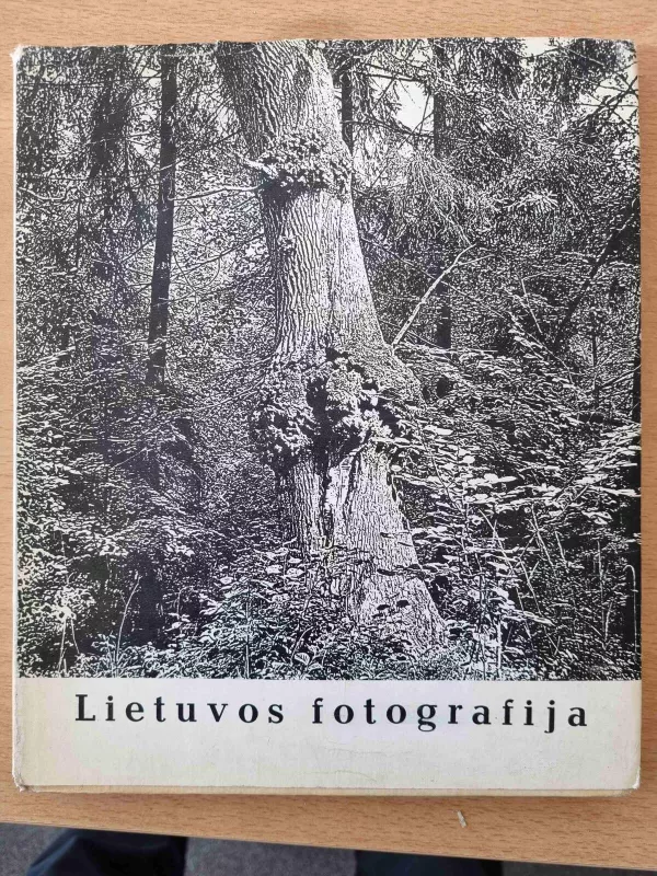 Lietuvos fotografija - Julius Vaicekauskas, knyga 5