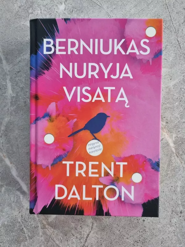Berniukas nuryja visatą - Trent Dalton, knyga 2