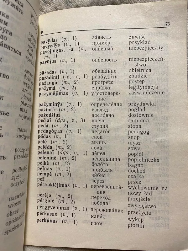 Lietuvių kalbos žodynas. Minimumas - Ona Pigagienė, knyga 3