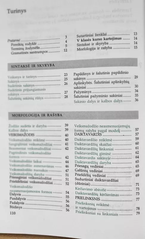 Lietuvių kalbos žinynas VI klasei - Vilija Salienė, knyga 4