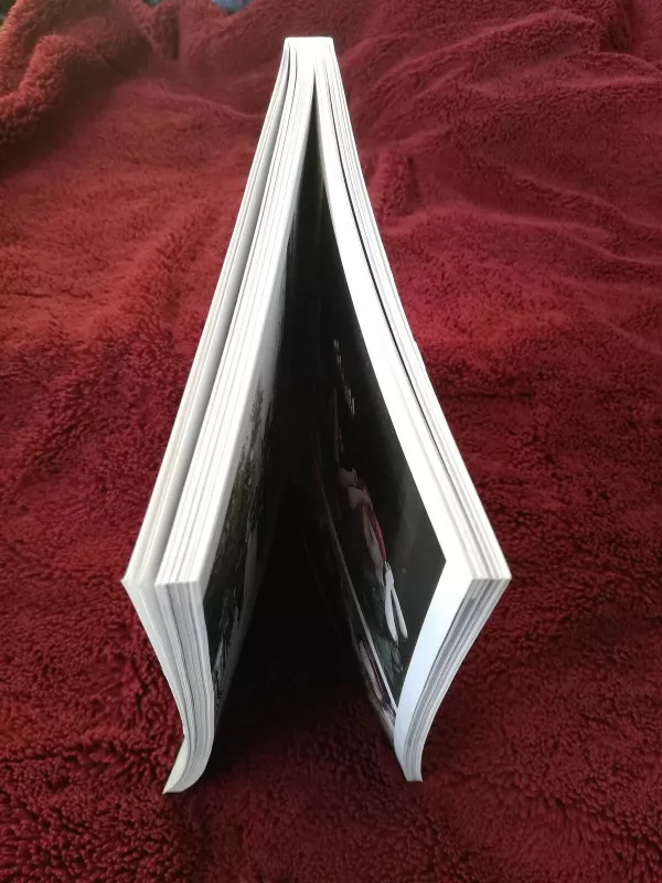 Lietuvos spaudos fotografija 2012 - Autorių Kolektyvas, knyga 3