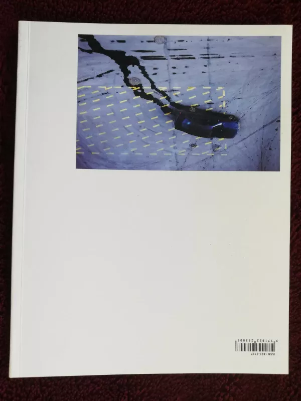 Lietuvos spaudos fotografija 2012 - Autorių Kolektyvas, knyga 2