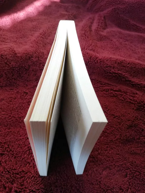 Korporacija: patologiškas pelno ir galios siekimas - Joel Bakan, knyga 3