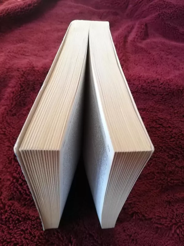 Darbo ir organizacinė psichologija - Nik Chmiel, knyga 3