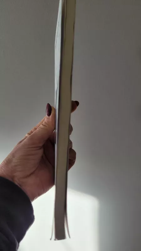 Įdrėskimai - Pranciška Regina Liubertaitė, knyga 3