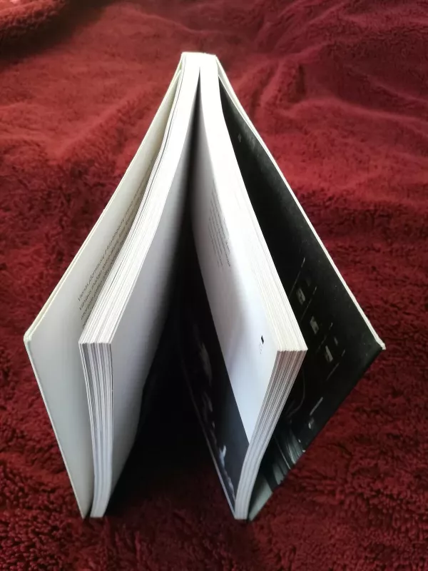 Arnas Rosenas. Prisiminimai apie aktorių Arną Roseną, pokalbiai, straipsniai - Daiva Šabasevičienė, knyga 3