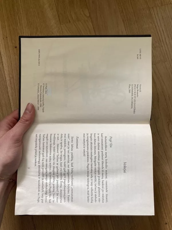 Pegė Sju ir fantomai (2 knyga): Demono miegas - Serge Brussolo, knyga 2