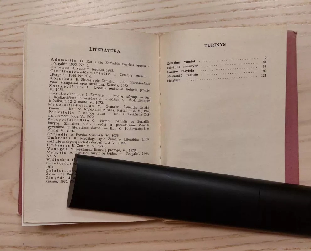 Žemaitė - J. Jasaitis, knyga 5