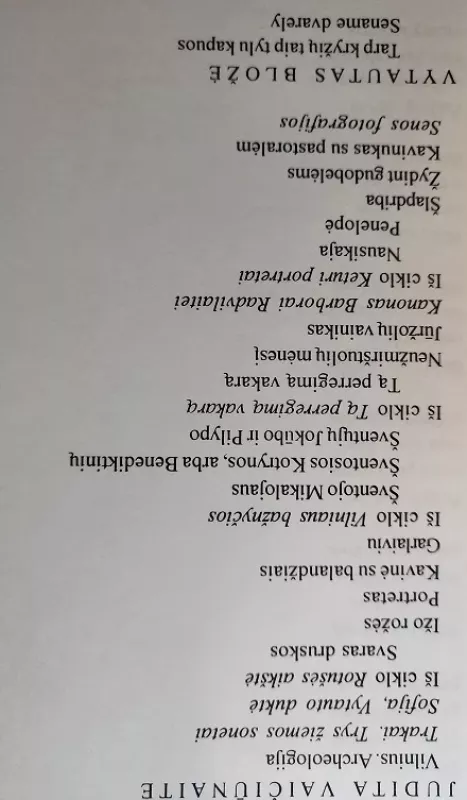 XX a. II pusės lietuvių poezija (2 dalis) - Agnė Iešmantaitė, knyga 3