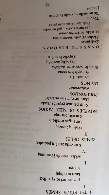 XX a. II pusės lietuvių poezija (2 dalis) - Agnė Iešmantaitė, knyga 4