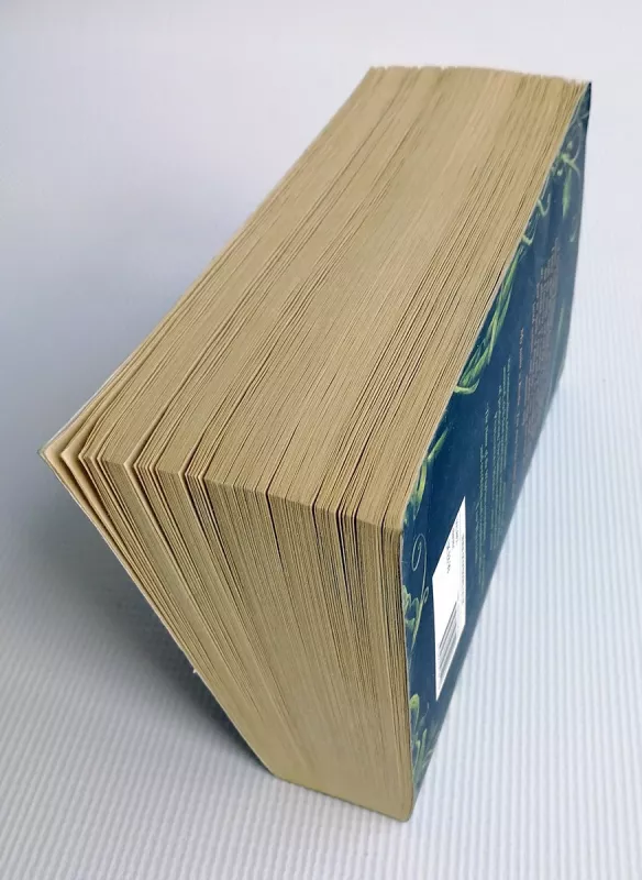 The Name of the Wind. The Wise Man's Fear - Patrick Rothfuss, knyga 4