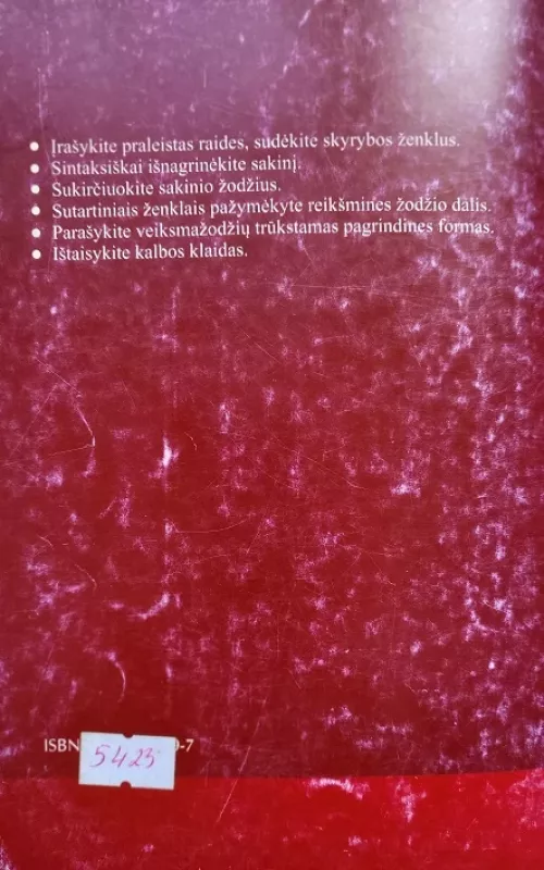Lietuvių kalbos testai abiturientams - Vidas Kavaliauskas, knyga 3