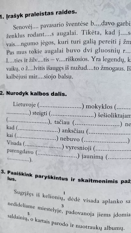 Lietuvių kalbos testai 8 klasei - Vilija Dobrovolskienė, knyga 3