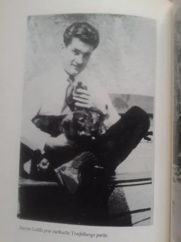 Laiškai mylimosioms - Juozas Daumantas, knyga 5