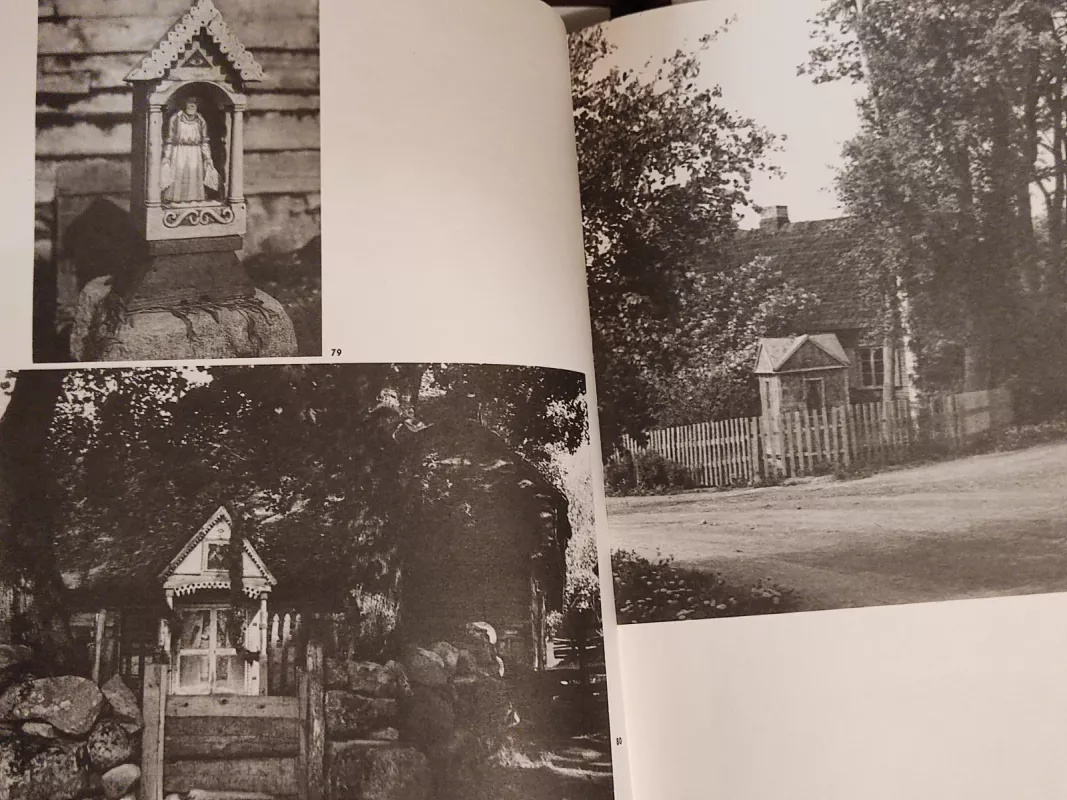 Lietuvių liaudies menas. Mažoji architektūra (II knyga) - Kazys Šešelgis, knyga 4