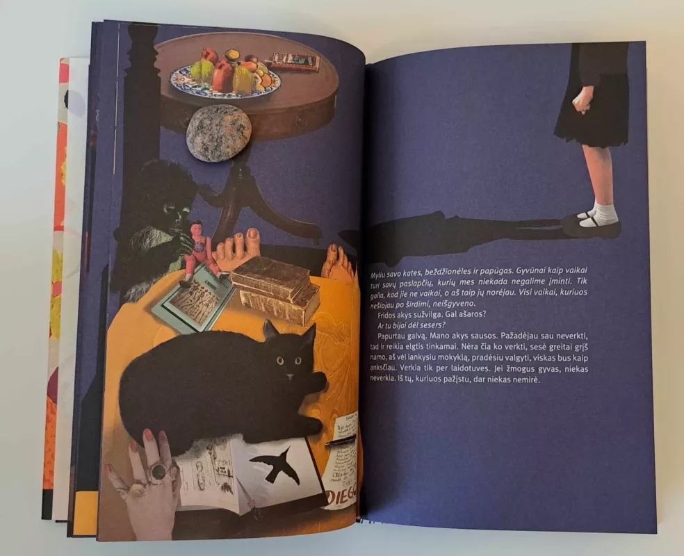 Ką mena širdis - Autorių Kolektyvas, knyga 5