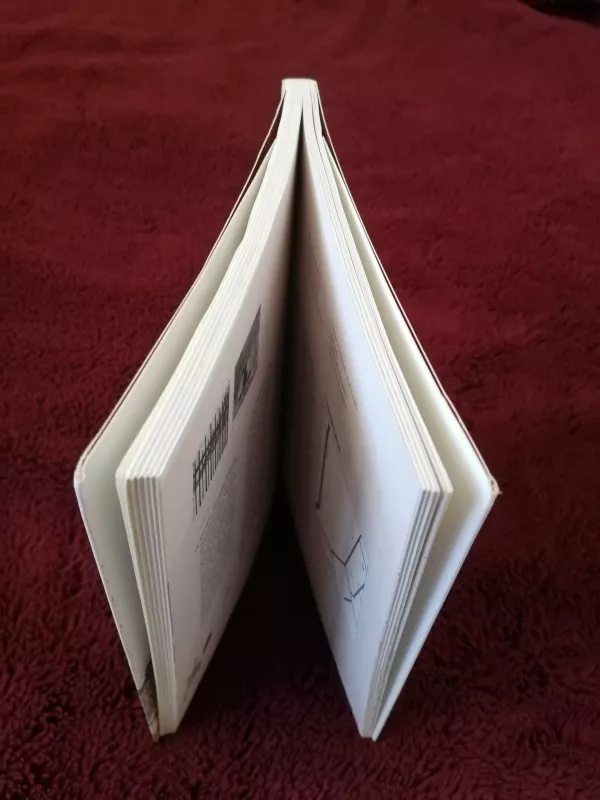 Vilnius 37  °C - Autorių Kolektyvas, knyga 3