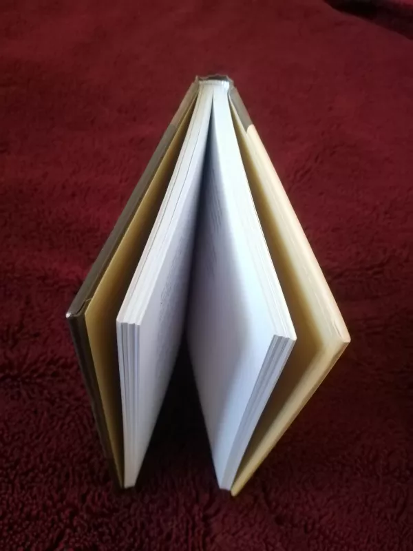 Laikų griūty - Bronius Krivickas, knyga 3