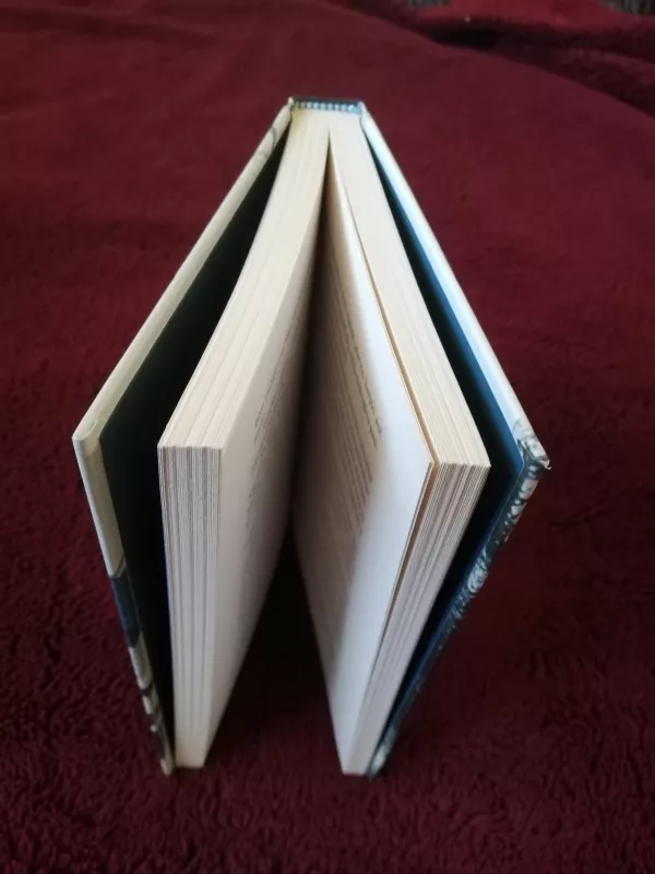 Panelės iš Laisvės Alėjos - ina Pukelytė, knyga 3