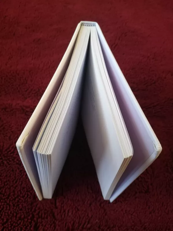 Ranka parašyta - Justinas Marcinkevičius, knyga 3