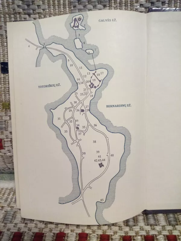 Trakų miestas ir pilys - A. Baliulis, S.  Mikulionis, A.  Miškinis, knyga 4