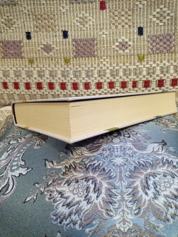 IŠGIJĘ - Jeffrey Rediger, knyga 4