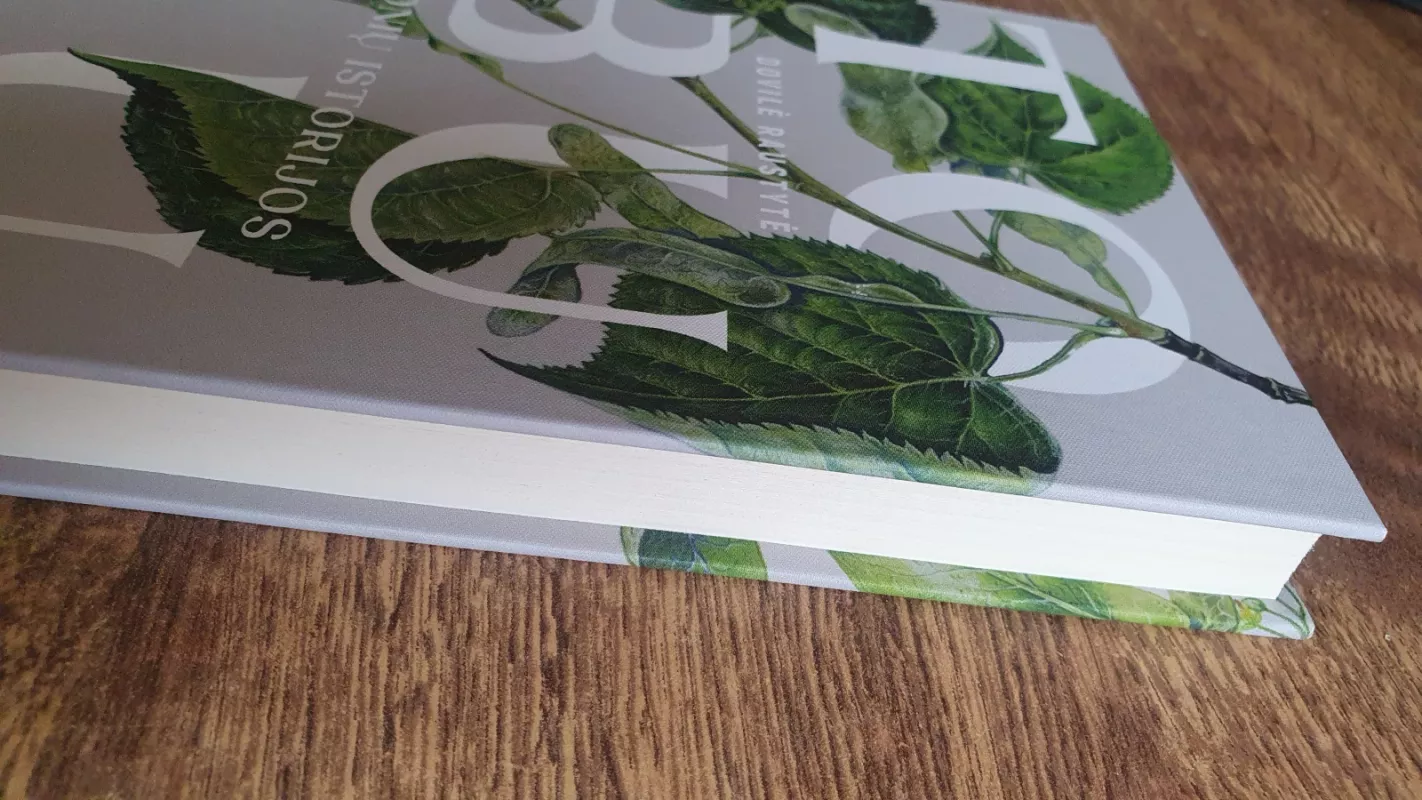 Tobulų žmonių istorijos - Dovilė Raustytė, knyga 4