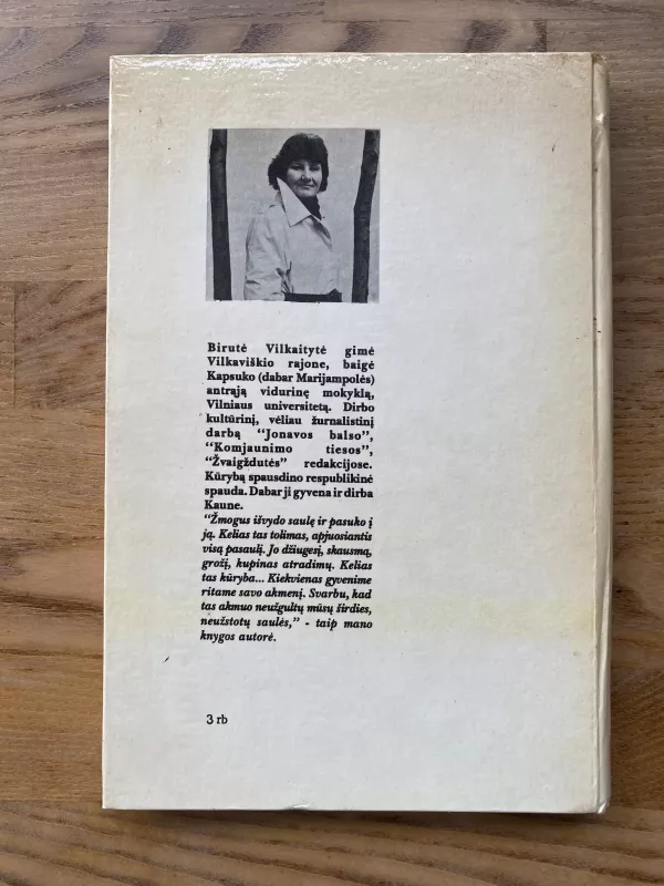 Madona eina per miestą - Birutė Vilkaitytė, knyga 3