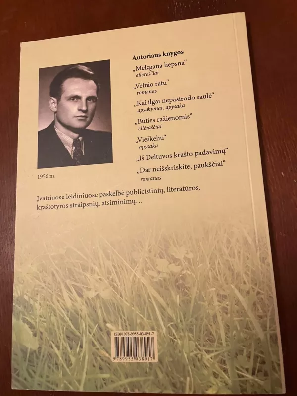 Dar neišskriskite, paukščiai - Vytautas Rakauskas, knyga 4