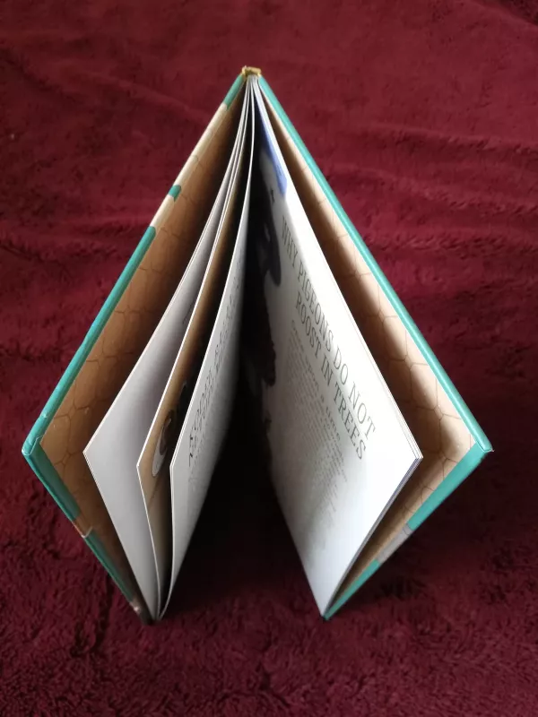 Mūsų sakmės - Edita Namajūnienė, knyga 3