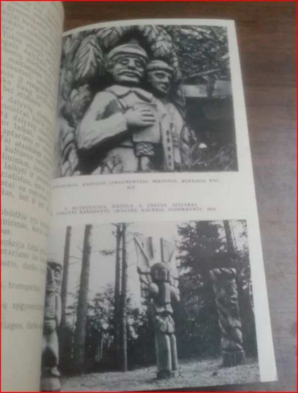 Liaudies meno meistrų seminarai - V. Rimkus, knyga 5