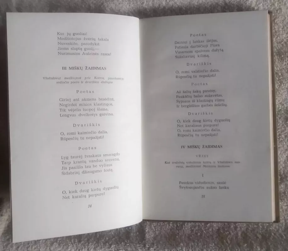 Miškų žaidimai - Autorių Kolektyvas, knyga 5