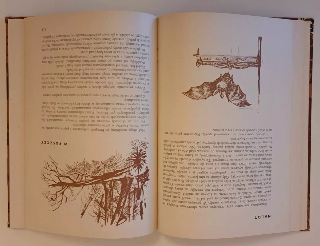 z puszcz i lasow - Autorių Kolektyvas, knyga 4