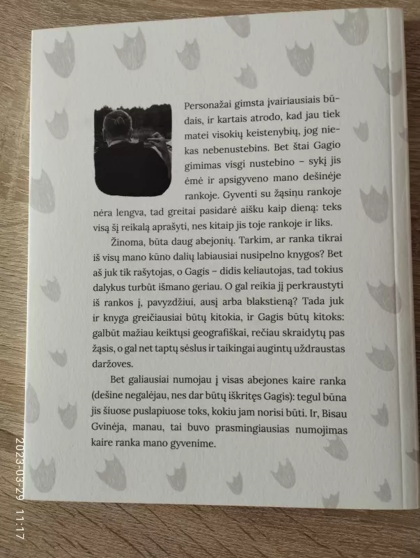 Žąsino Gagio kelionės - Aidas Jurašius, knyga 3