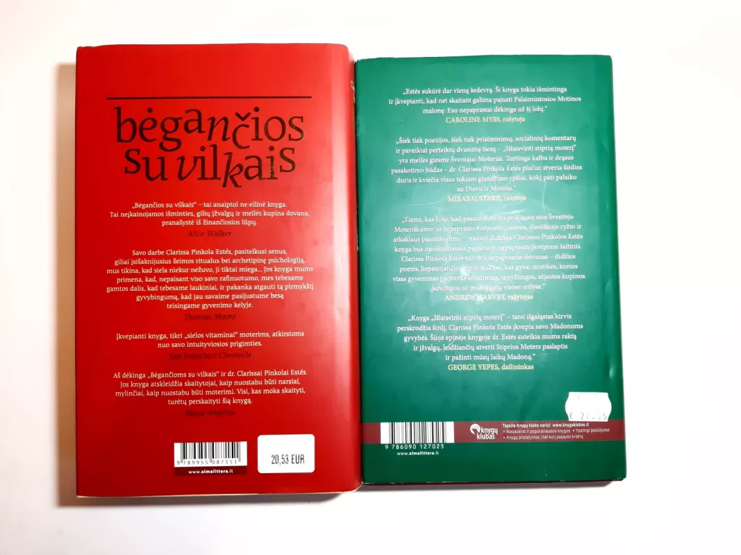 Išlaisvinti stiprią moterį - Clarissa Pinkola Estes, knyga 3